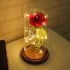 LED Enchanted Rose in Glass Dome Light Up Artificial Flower Gift Valentine Anniversary